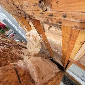 Framing repair preparation after Faircrest Heights water damage
