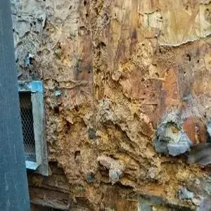 Damaged sheathing documented during Faircrest Heights water damage repair