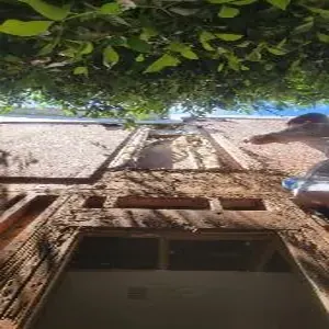 Exterior wall access during Hermosa Beach water damage reconstruction