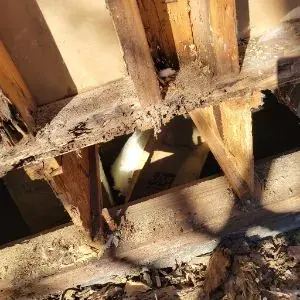 Damaged framing documented during Kagel Canyon water damage repair